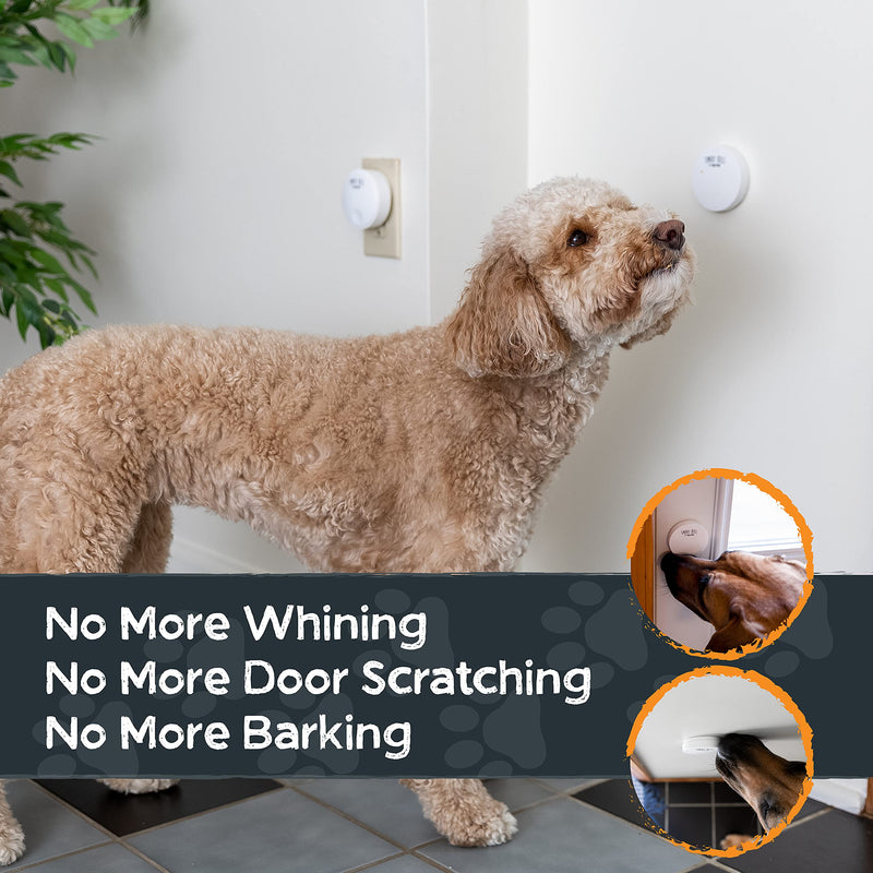 Mighty Paw Smart Bell 2.0 – Potty Training Button for Dogs & Puppies – Train Your Dog to Ring The Bell – Wireless Pet Communication (1 Pack) 1 Activator White