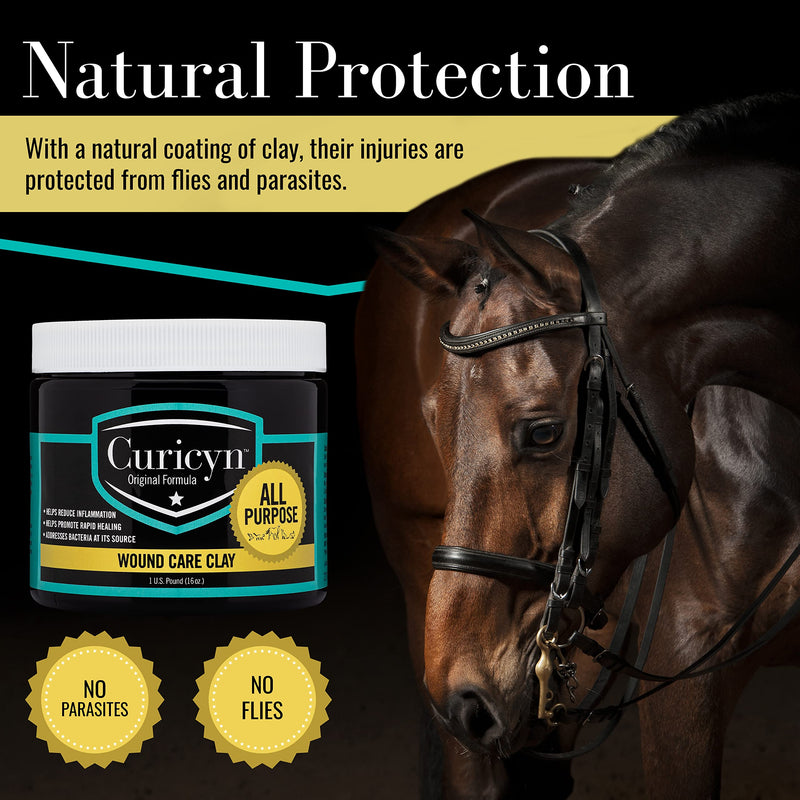Animal Wound Care Clay 16oz. - Vet-Approved Natural Skin Ointment For Dog, Cat, Horse, and Other Livestock - Bentonite Clay with Aloe Treatment - Gentle No Sting Fast-Acting Formula - PawsPlanet Australia