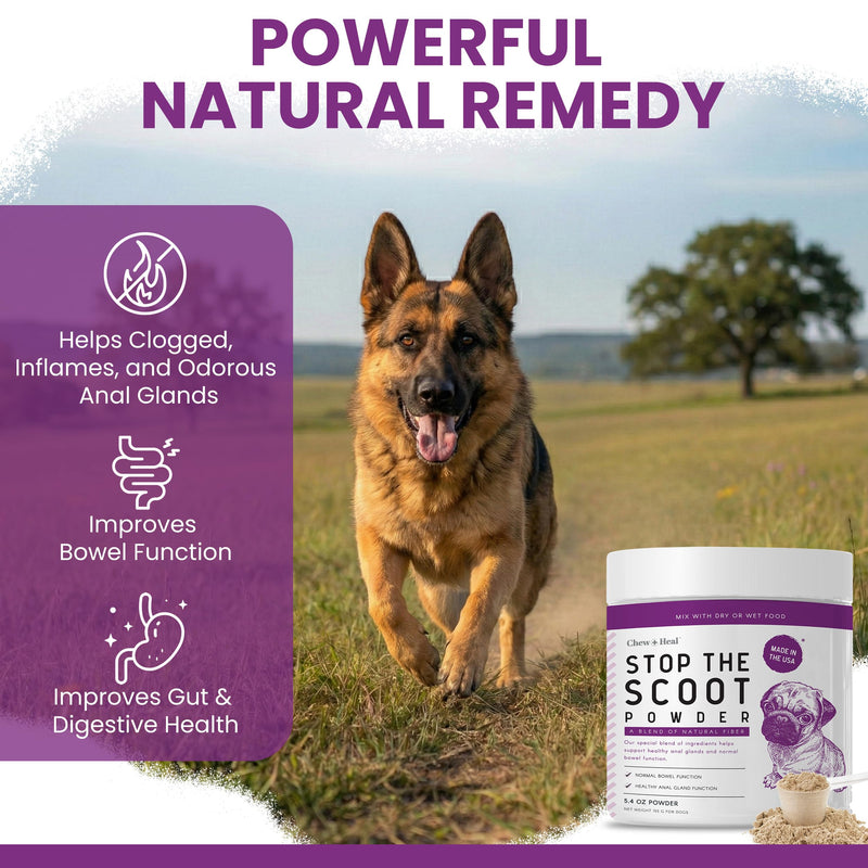 Glands Bowel Support - 14 oz of Stop the Scoot Powder for Scooting, Healthy Anal Glands, and Digestive Health - Made with Pumpkin Powder for Dogs 14 oz.