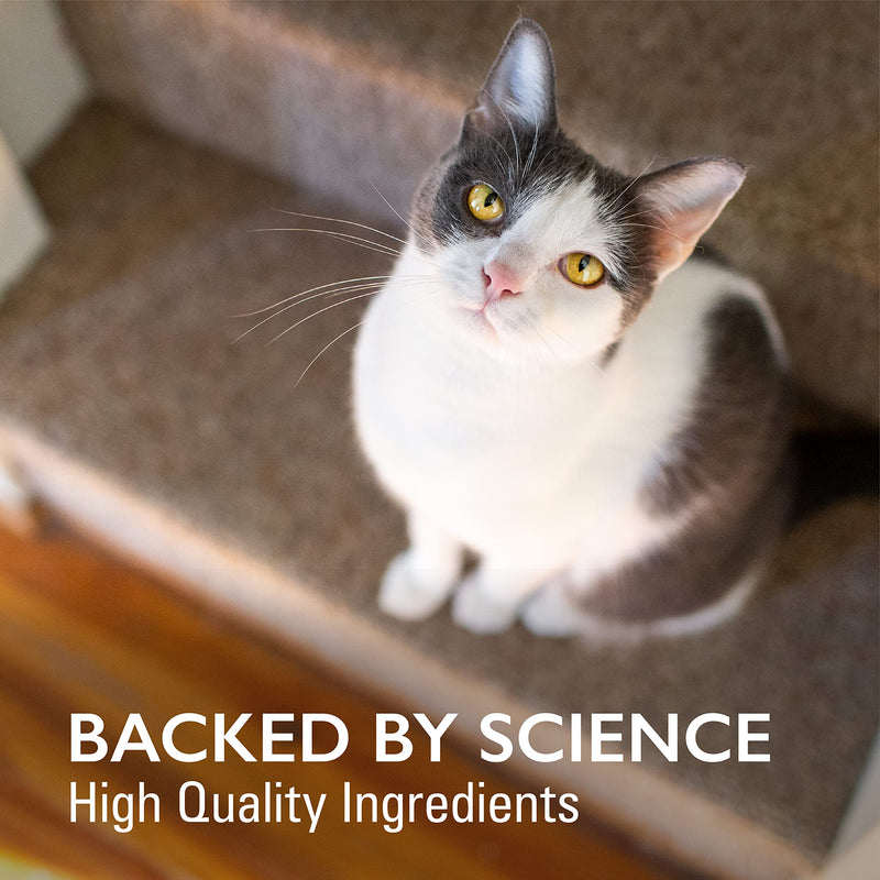 Nutramax Imuquin Immune Health Supplement Powder for Cats, with Beta Glucans, Marine Lipids, Vitamins and Minerals, 30 Packets Updated Version