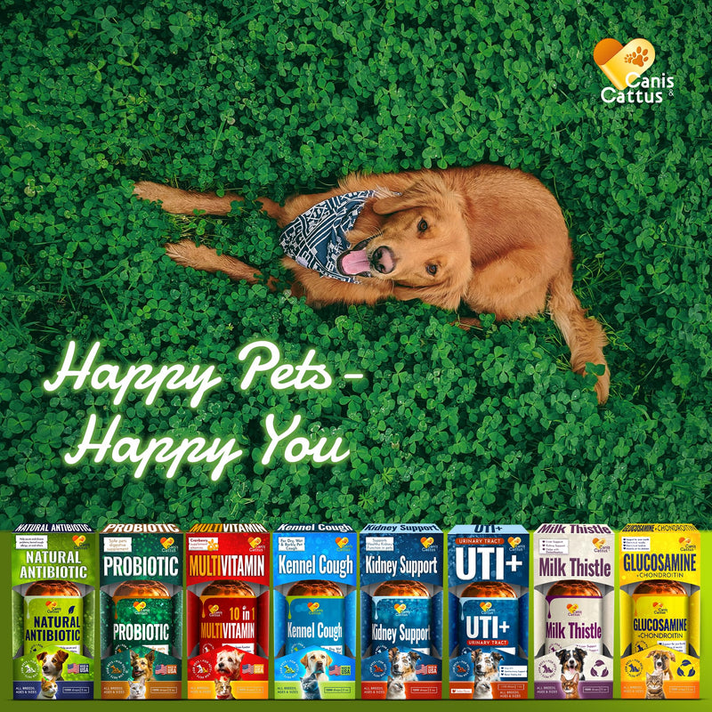 Antibiotics for Dogs | Cat Antibiotic | Pet Antibiotic | Natural Antibiotics for Cats | Dog Antibiotic | Natural Antibiotic for Dogs | Antibiotic for Cats | 2 Oz 1 Pack x 2 Oz