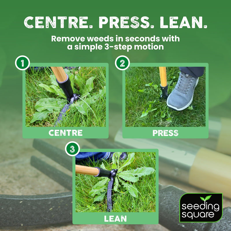 Seeding Square The Weed Gobbler Carbon Steel & Bamboo Stand-Up Weed Puller Tool for Dandelions and Single-Root Weeds – Ergonomic Lawn Weeder for Back-Friendly Weed Removal