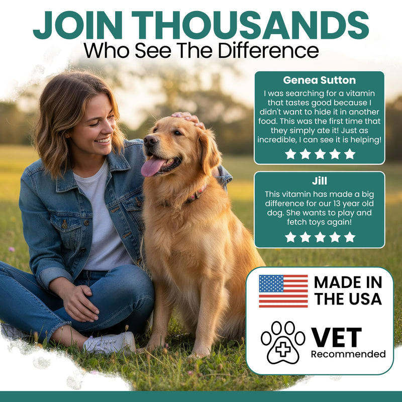 Dog Multivitamin Chewable - Chew + Heal 12-in-1, 60 Ct, Puppy, Senior Dog Vitamins & Supplements for Hip & Joint, Skin, Coat, Immune Support with Glucosamine, Omega 3,6,9, Probiotics, Chicken Flavor 60 Count