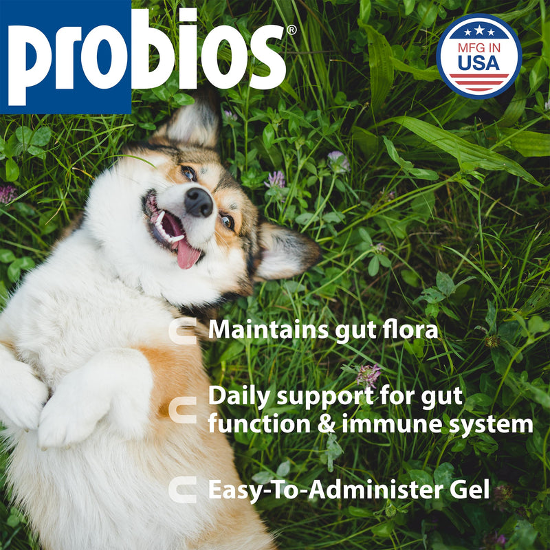 Probios Probiocin Oral Probiotic Gel for Dogs and Cats, Digestive and Immune Support Supplement, Easy Syringe Administration, Suitable for Newborns to Senior Pets, 15g Tube (Pack of 2) 15 g (Pack of 2)