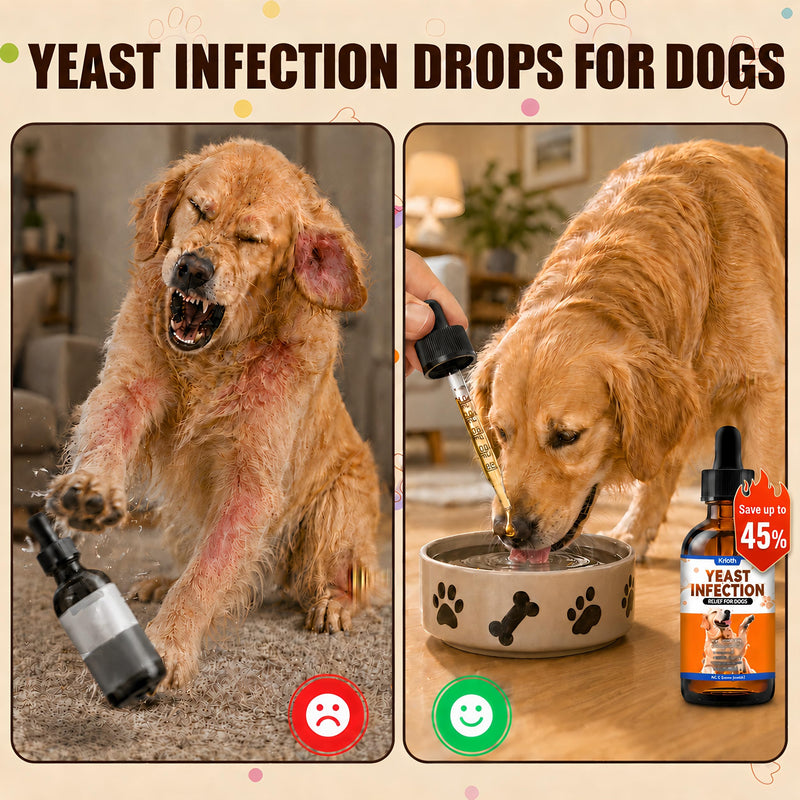 Yeast Infection Treatment for Dogs | Dog Ear Yeast Infection Treatment, Soothes Skin, Relieves Itching, Reduces Redness and Swelling, Eliminates Odors, 60ml Bacon Flavor 1PCS