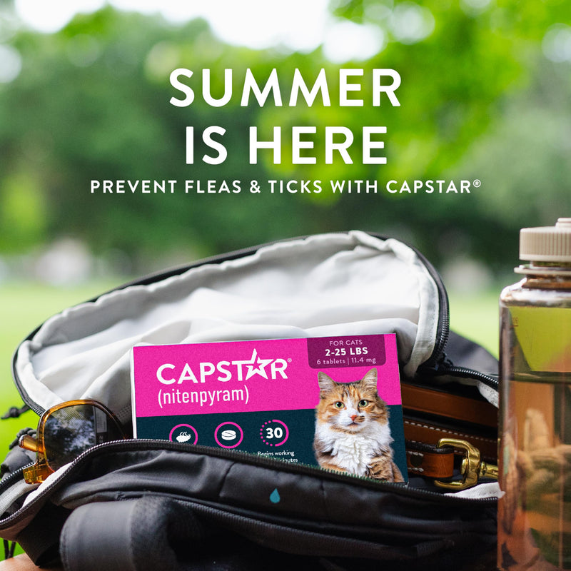 Capstar (nitenpyram) Cat Flea Treatment, Fast-Acting Oral Flea Treatment for Cats 2-25 lbs, Vet-Recommended Medication Tablets Start Killing in 30 Minutes, 6 Doses 6 Count