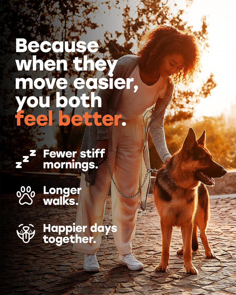 Glucosamine 500 mg Hip & Joint Chews for Dogs — Chondroitin, Collagen, MSM & Turmeric — Bundle with 2‑Billion CFU Multi‑Strain Probiotic Chews — 140 Hip & Joint Chews + 140 Beef Probiotic Chews