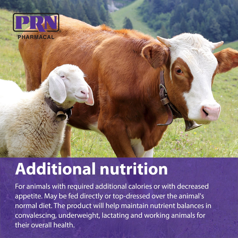 PRN Pharmacal STAT - High Calorie Nutritional Supplement to Help Restore Hydration & Nutrition Levels in Animals - Vanilla Flavored Dietary Support with Vitamin A, D3, C, E, & More - 16 Fl Oz - PawsPlanet Australia