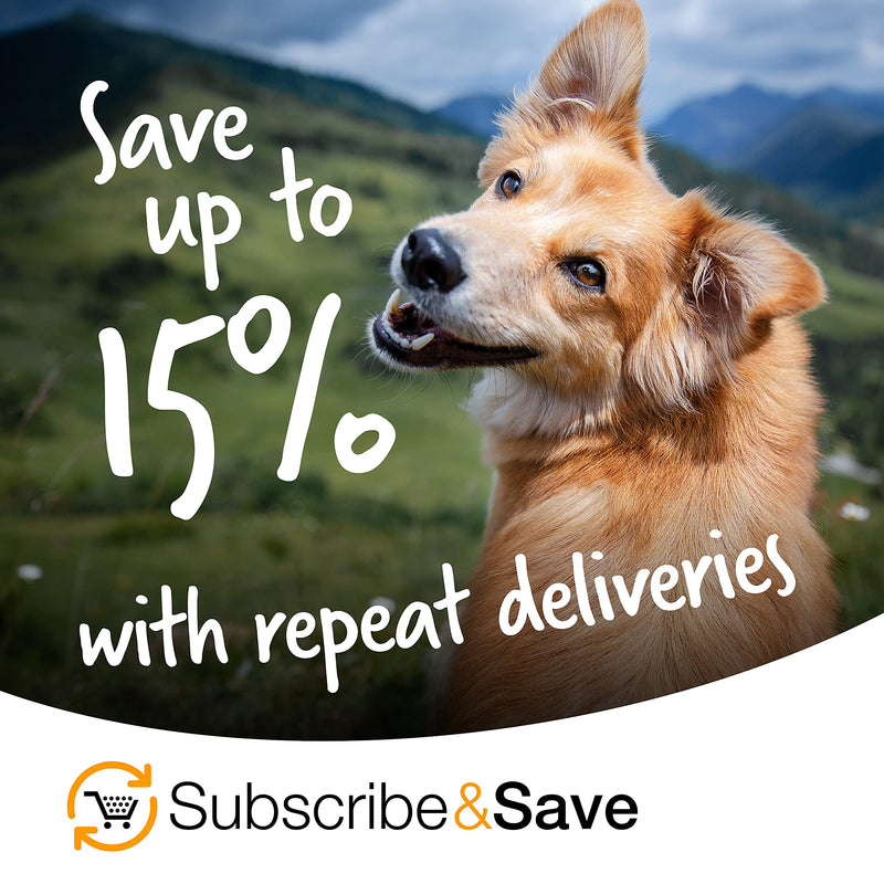 Lintbells | YuMOVE ONE-A-DAY Small Chewies For Dogs | Hip and Joint Supplement for Stiff Dogs | 30 Chews - 1 Month supply Small Dog - PawsPlanet Australia