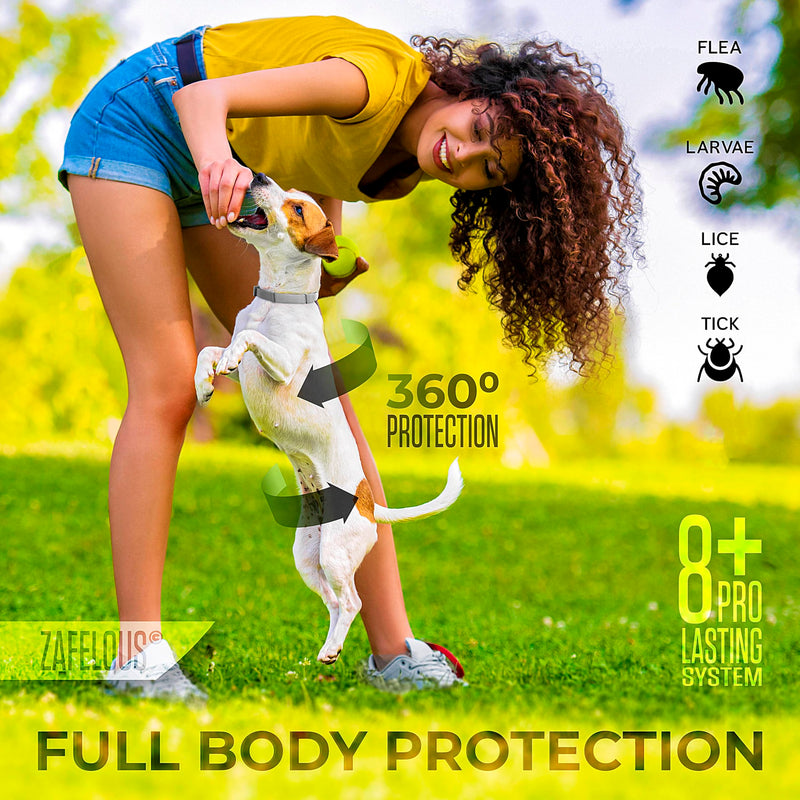 Flea and Tick Prevention for Dogs - Flea Collar - 2 Count - Adjustable