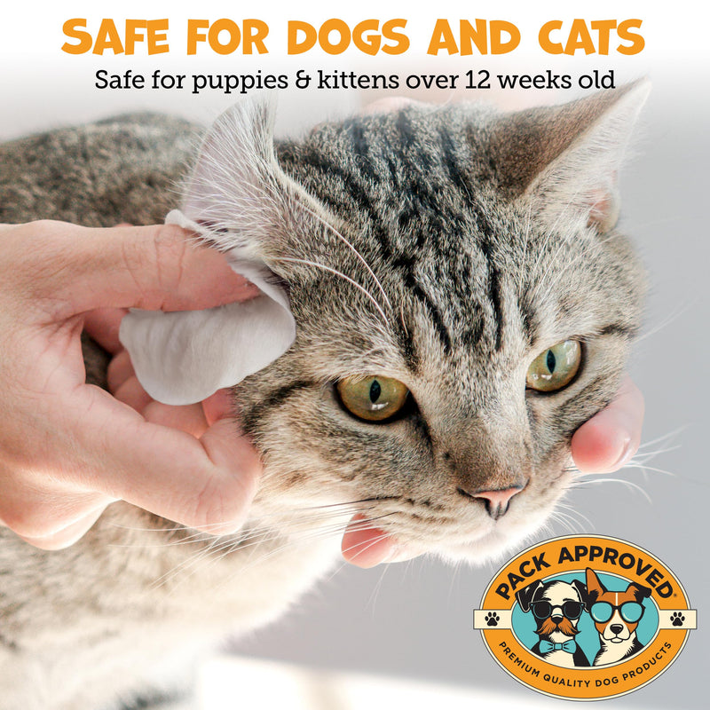 Pack Approved Advanced Ear Wipes for Dogs & Cats with Aloe Vera - Gentle, Non-Irritating Ear Cleaner for Cats and Dogs - Helps Deodorize and Remove Ear Wax - Cucumber Melon Scent (100 Wipes) Regular Wipes