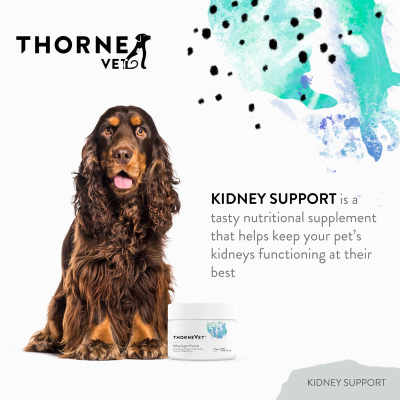 ThorneVet Kidney Support for Dogs & Cats – Powder Formula for Kidney Health – with Rehmannia, Astragalus, Mushrooms, and Chitosan – 90 Scoops