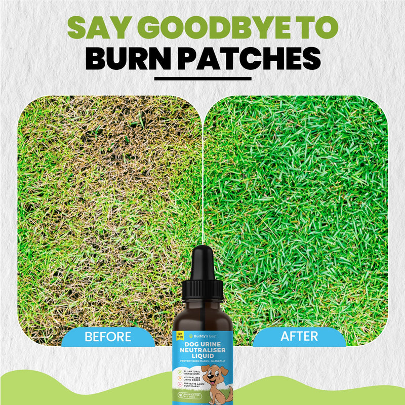 Dog Urine Neutraliser Liquid | Effective against Urine Odor and Lawn Burn | Alternative To Dog Rocks - PawsPlanet Australia