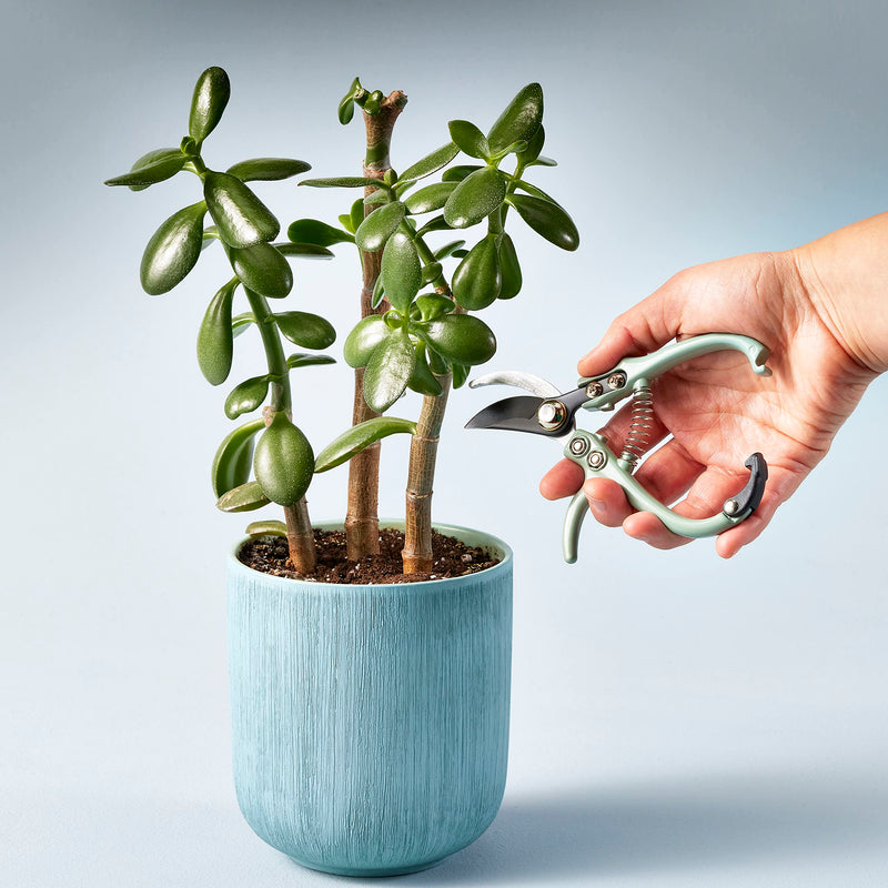 Modern Sprout Gardening Pruners, Lightweight, Durable, Green, One Size Sage