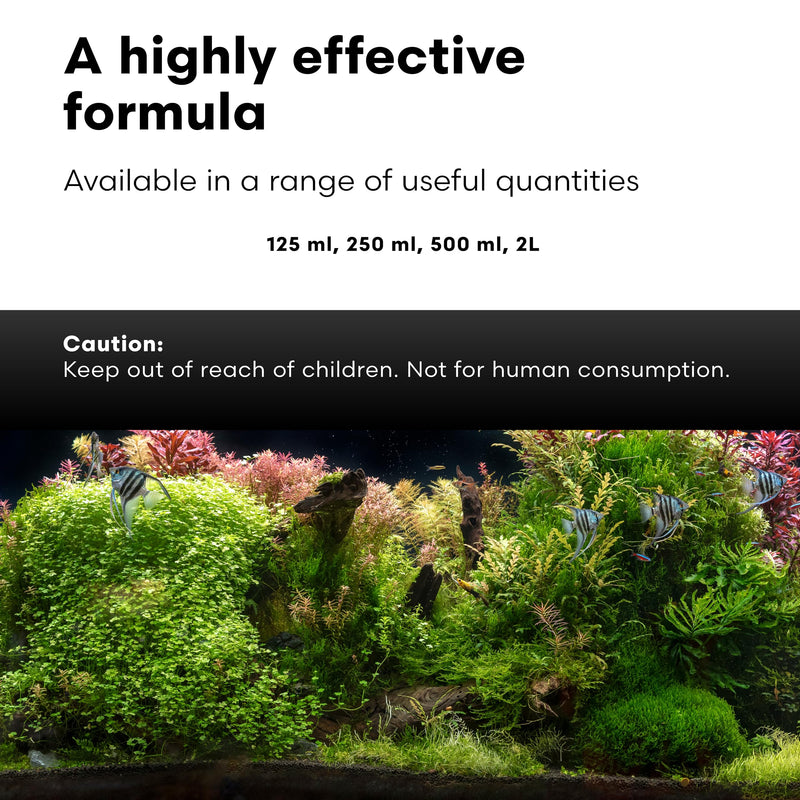 Brightwell Aquatics Shrimp FlorinGrō+ – Nitrate-Based Plant Supplement for Shrimp Aquariums – Supports Growth, Chlorophyll & Vibrant Foliage – Copper-Free, 250 ml 250-ml