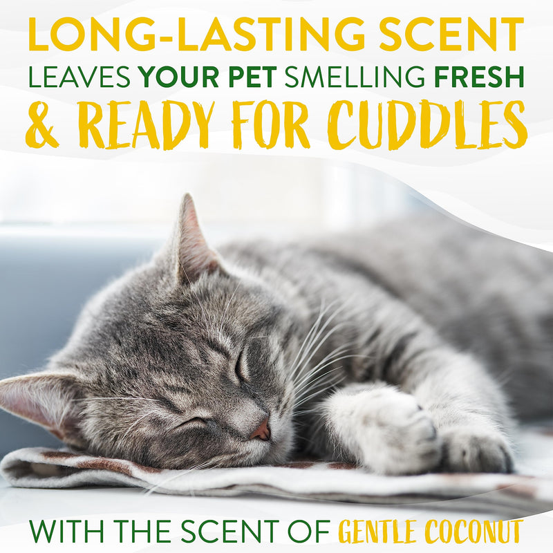 TropiClean Coconut Hypoallergenic Cat Shampoo | Gentle Kitten Shampoo for Sensitive Skin | Natural Shampoo Derived from Natural Ingredients | Made in The USA | 12 oz. Gentle Coconut - PawsPlanet Australia