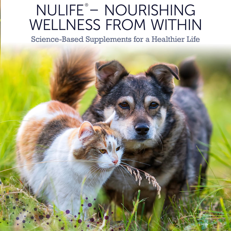 NuLife Dog Cognitive Supplement - Supports Senior Dog Memory, Alertness, and Behavior with DHA (Omega 3) and Ashwagandha - Helps Promote Brain Health and Focus in Aging Dogs - 45 Soft Chews