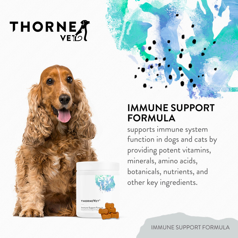 ThorneVET Immune Support Formula – Immune Support for Dogs & Cats, 90 Soft Chews - PawsPlanet Australia
