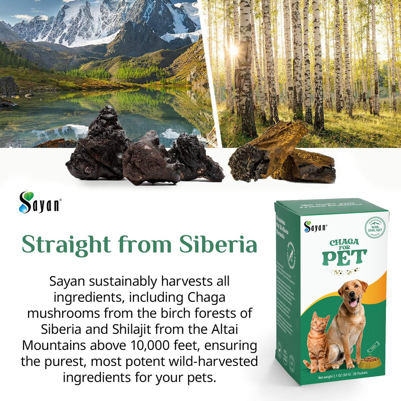 Sayan Chaga + Shilajit Pet Supplement (30 Sachets) – All-Natural Adaptogen Blend for Dogs & Cats – Immune, Joint, Energy & Digestive Support – Herbal Blend – 100% GMO-Free, Vet-Formulated