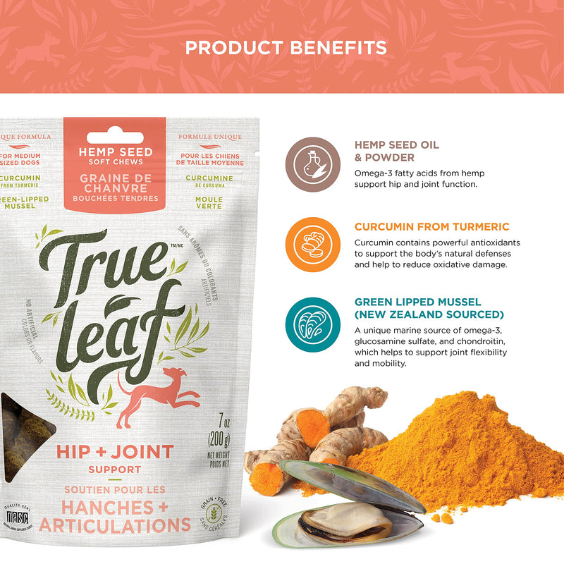 True Leaf Pet Hemp Hip + Joint Chews 200 g - Support Mobility with Natural Ingredients - Green Lipped Mussel, Turmeric Extract