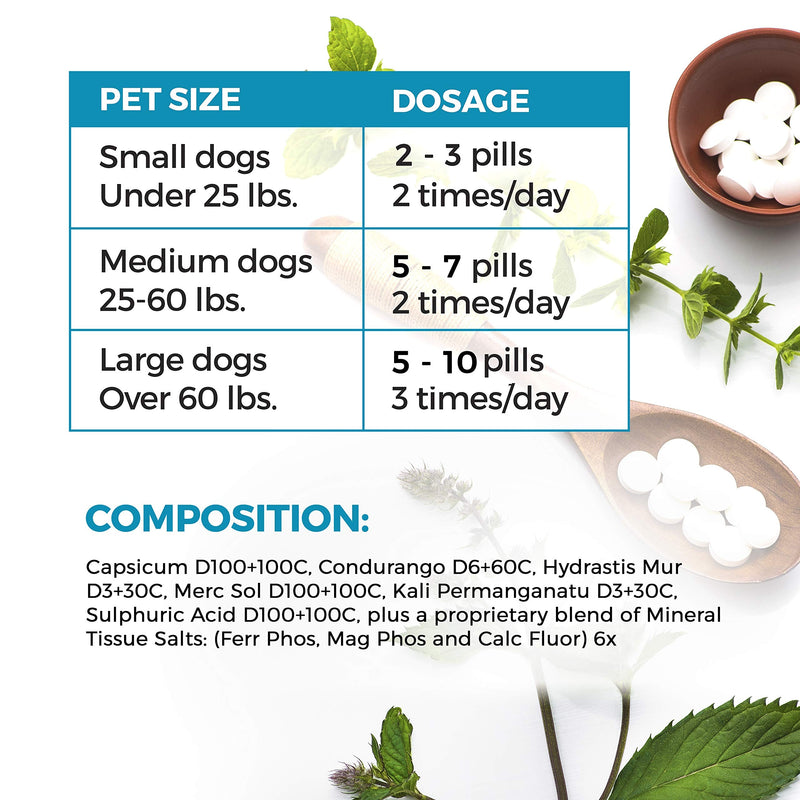 BestLife4Pets Oral Health for Dogs Dental Remedy - Highly Effective Natural Treatment for Inflammatory & Ulcerative Ailments, Stomatitis and Gingivitis. No Smell, No Side Effects - PawsPlanet Australia