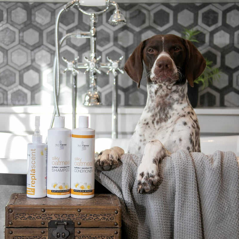 Isle of Dogs - Everyday Natural Luxury Silky Oatmeal Conditioner - Jasmine + Vanilla - Sulfate & Paraben Free Formula - Conditioner With Oatmeal & Jojoba Oil For A Silky Coat - 1 Gal, 16 Fl Oz - PawsPlanet Australia