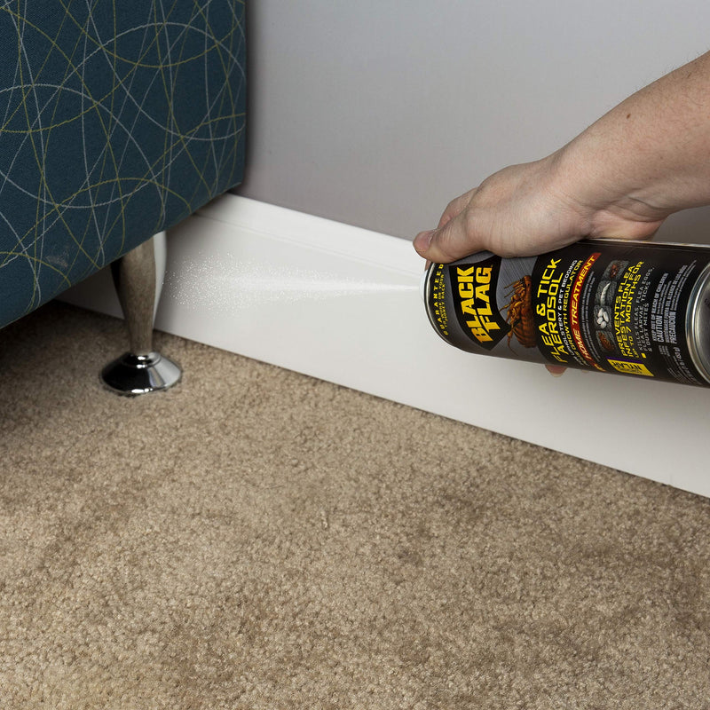 Black Flag Flea & Tick Killer for Upholstery & Pet Bedding Aerosol, 16-Ounce 16 Fl Oz (Pack of 1)