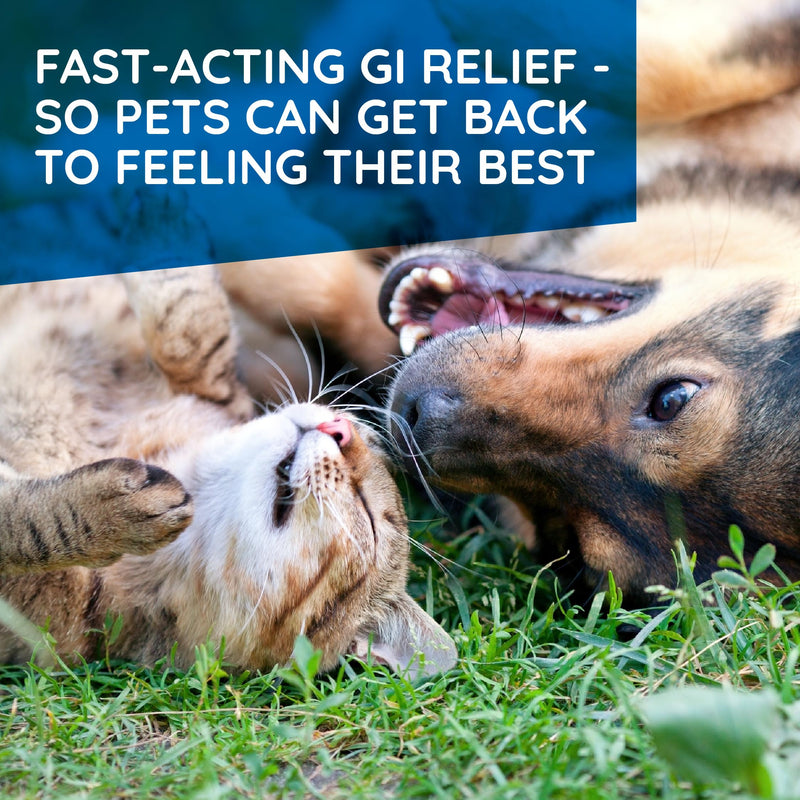 T-Relief Pet Digestive Complete GI Relief Drops for Dog & Cat Soothing Aloe + 13 Natural Homeopathic Actives Help Calm Nausea & Diarrhea from Mild Illness Food Stress or Motion Sickness - 1.69 oz - PawsPlanet Australia