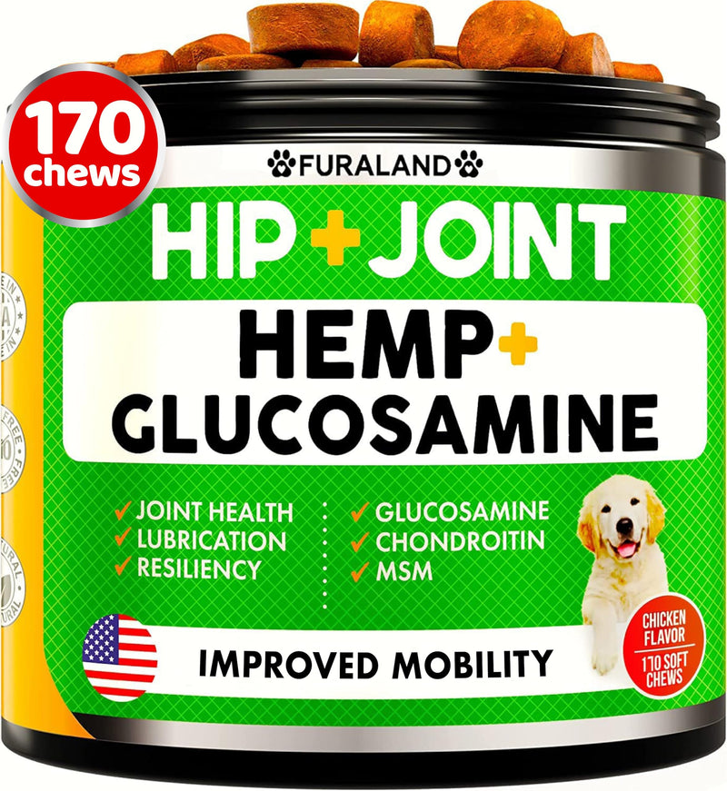 Hemp Hip and Joint Supplement for Dogs - Glucosamine for Dogs - 170 Dog Joint Pain Relief Treats - Chondroitin, Hemp Oil, MSM - Mobility & Flexibility Support - Advanced Care Health - Made in USA 170 Soft Chews