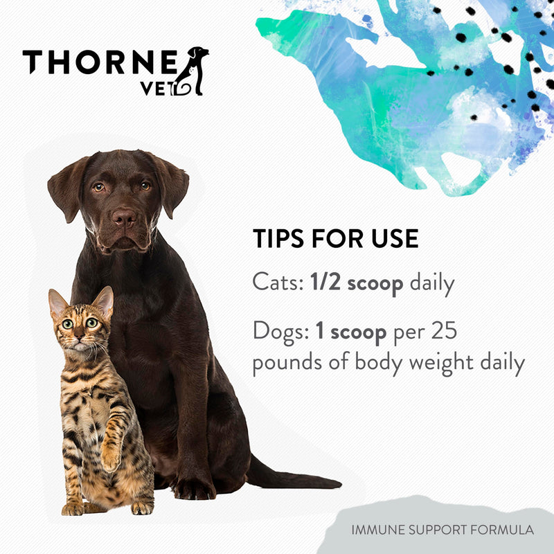 ThorneVET Immune Support Formula Powder – Immune Support for Dogs & Cats, 90 Scoops - PawsPlanet Australia