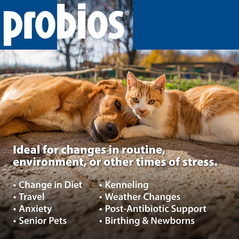 Probios Chewable Tablets for Dogs, Daily Probiotic Supplement for Gut Health, Digestion & Immune Support, Improves Microbiome Balance During Stress, Travel, Chicken Liver, 45 Count (Pack of 2) 45 Count (Pack of 2)