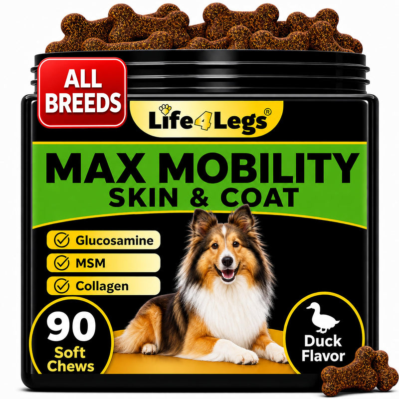 Hip and Joint Chews for Dogs + Skin and Coat Supplement - Dog Joint Pain Relief Treats - Glucosamine, Chondroitin, MSM, Hemp Oil, Turmeric, Omega 3 for Dogs, Mobility Dog Health Supplies Hip & Joint + Skin & Coat Duck - 90 Soft Chews