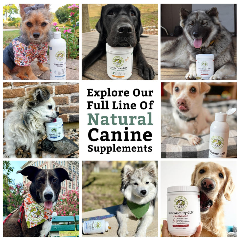 Wholistic Pet Organics Krill Oil for Dogs - Dog Itching Skin Relief & Joint Health - Omega 3 Supplement for Skin & Coat Support, Allergy Relief, Senior Dog Supplements, and Healthy Coat for Dogs - PawsPlanet Australia