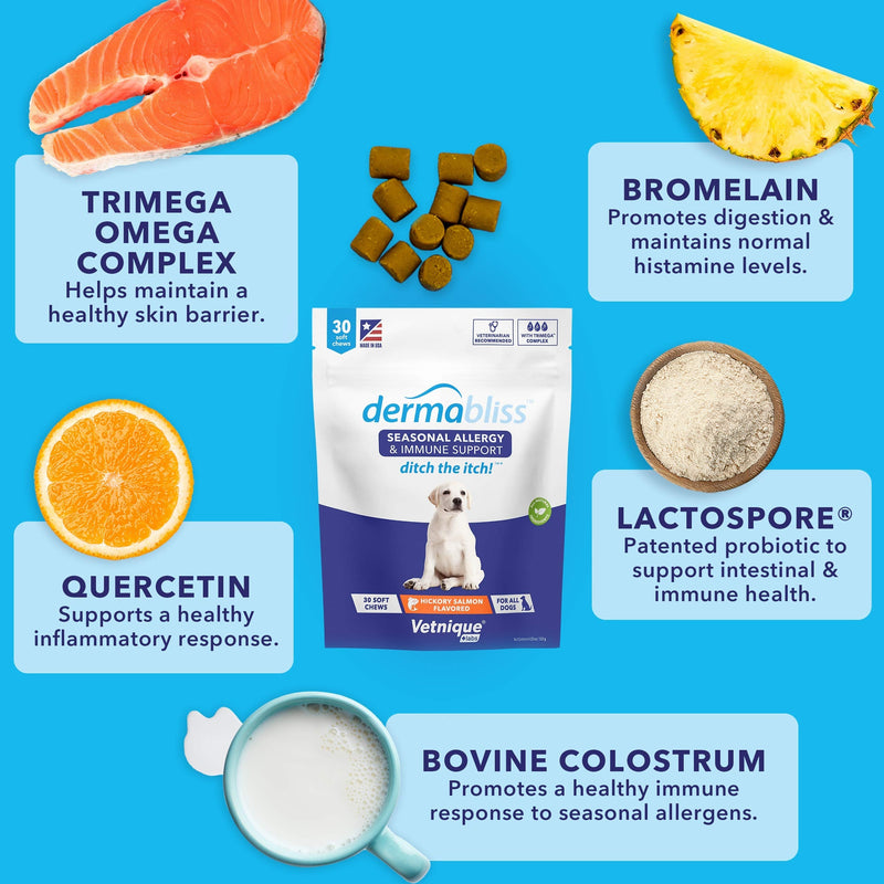 Dermabliss Allergy Chews 30ct and Glandex Anal Gland Support Chews 60ct Bundle Dog Vitamins & Supplements, Anal Gland Dog Treats with Probiotics, Dog Allergies Skin Treatment Soft Chew - PawsPlanet Australia
