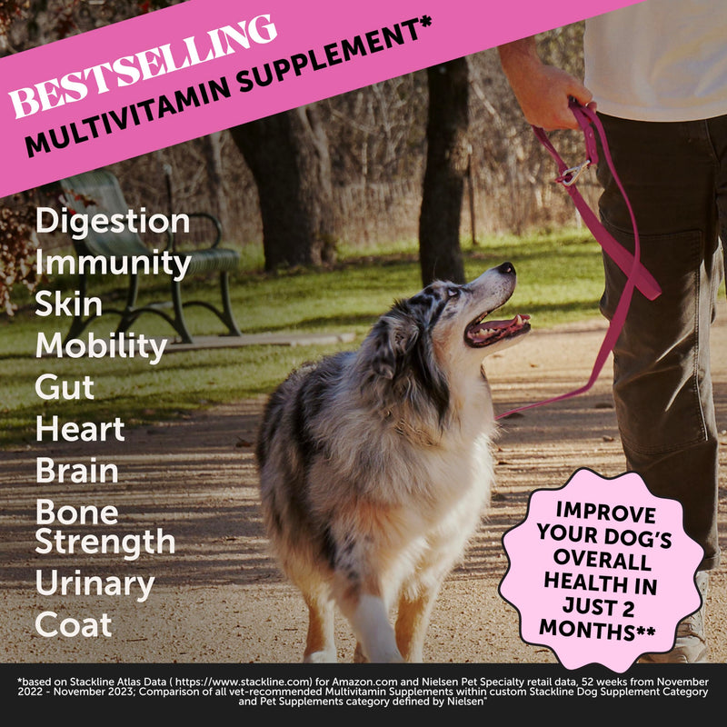 Pet Honesty Hemp Calming & Multivitamin Virtual Bundle: Max Strength Dog Anxiety Relief & Essential Vitamins for Skin and Coat (Duck & Chicken 90 ct)