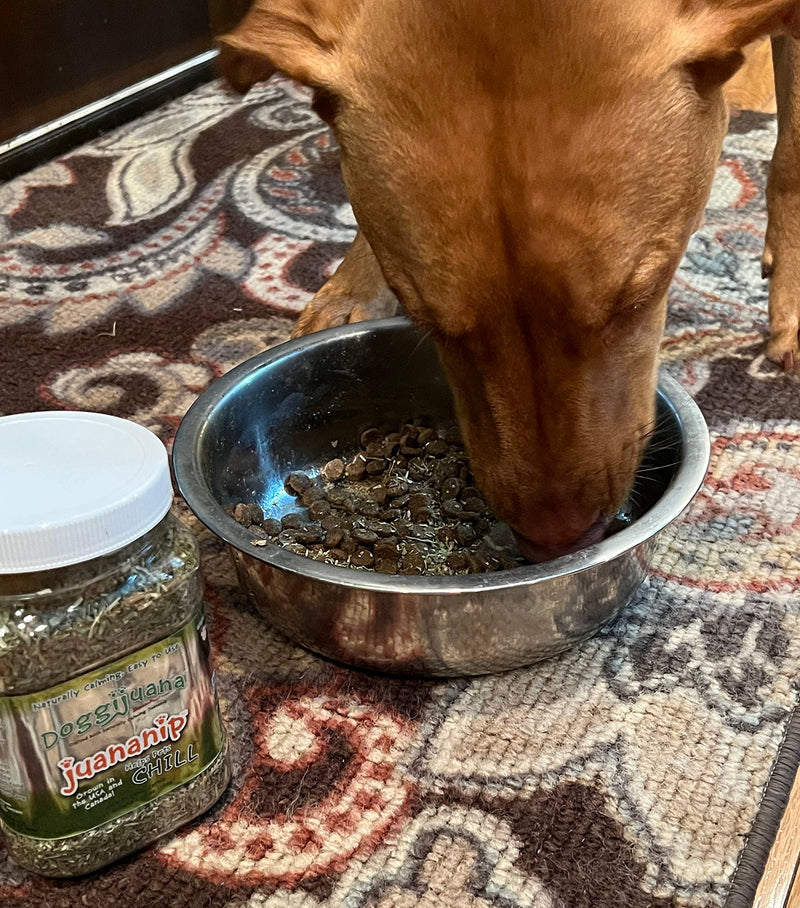 Doggijuana Juananip™ Refill Jar | Hand Harvested Organic Ground Catnip for Dogs | Naturally Calming for Anxiety, Stress | Grown in the USA Juananip Jar