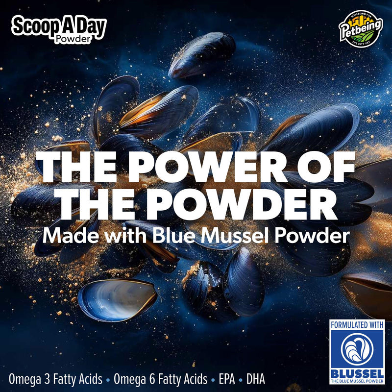 Scoop A Day Dog Supplement - Blue Mussel Powder | Mobility, Muscle, Joints Support | Omega 3 & 6 for Healthy Digestion and Immune Boost - Made in USA (3.5 oz)