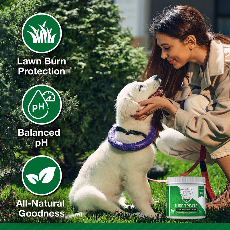 Green Grass Dog Chews – 240ct Turf Treats for Dog Spot Grass Repair, Veterinarian Formulated Urine Neutralizer for Lawn, Lawn Protection Treats, Neutralizer (Chicken Flavored) Chicken 120 Count (pack of 2)