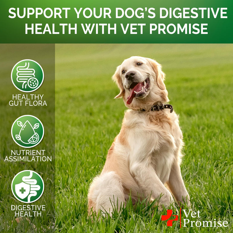 Probiotics for Dogs - Dog Probiotics and Digestive Enzymes for Gut Health, Itchy Skin, Allergies, Immunity, Yeast Balance - Prebiotics - Reduce Diarrhea, Gas - 120 Probiotic Chews Supplement for Dogs 120 Chews