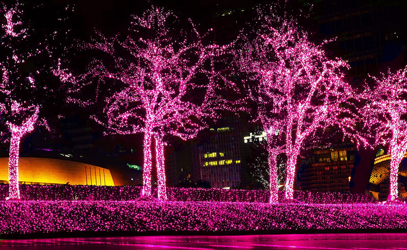 612 Vermont 100 Pink Christmas Lights on a White Wire String, UL Approved, Indoor/Outdoor Use, 18’ of Lighted Length, 20’ of Total Length