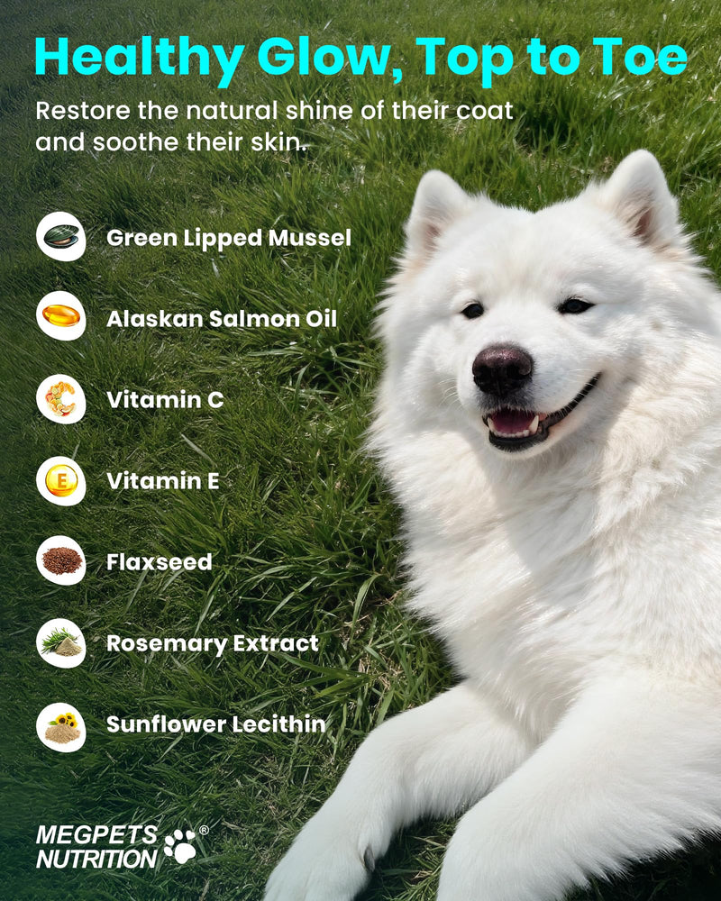 NAD+ Glucosamine for Dogs Hip and Joint Supplement - 300 Soft Chews - Advanced Mobility Support with MSM, Chondroitin, Resveratrol & CoQ10 - Healthy Aging & Vitality Brown