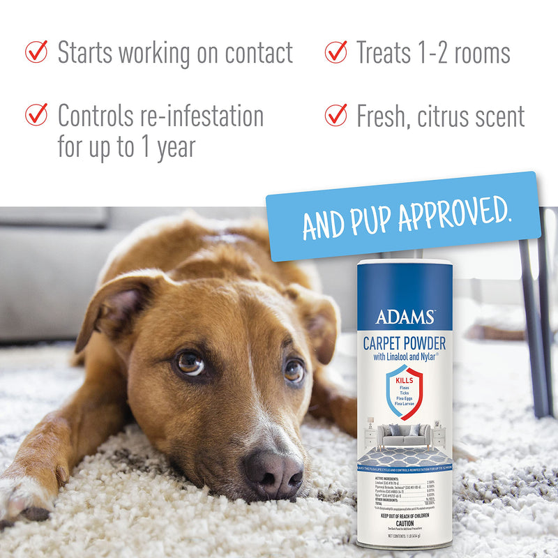 ADAMS Carpet Powder + Flea & Tick Dog Collar Collar Bundle