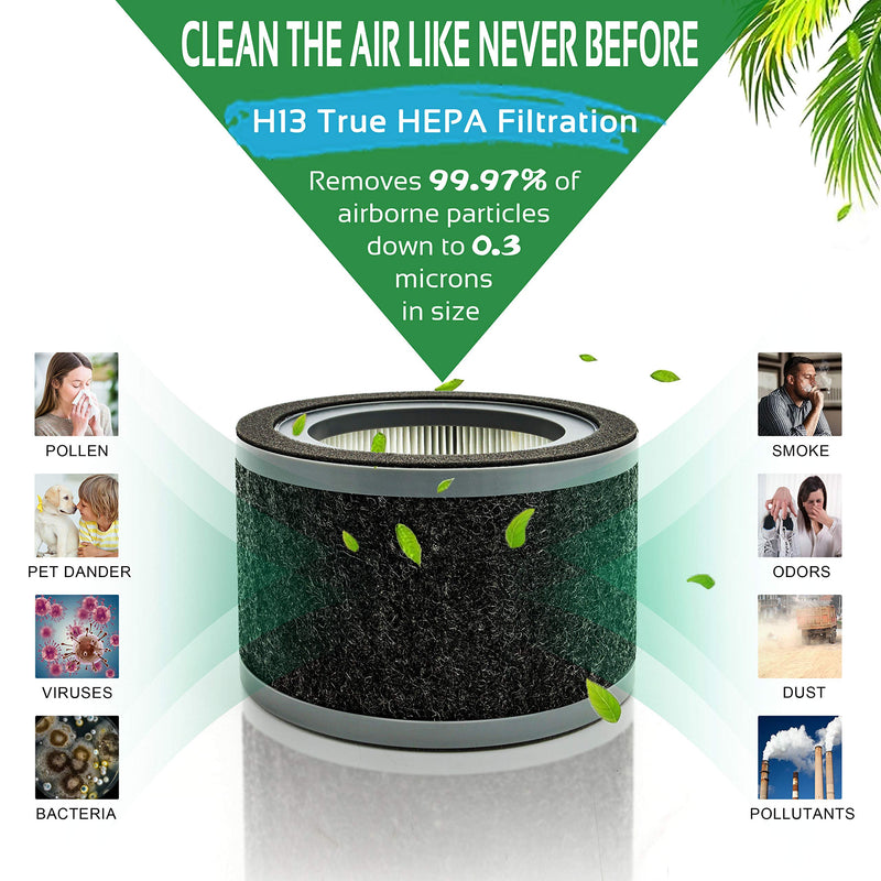 FLT4200 Replacement L Filter, Compatible with GermGuardian Air Purifier Models AC4200, AC4200W and AC4250B, Filter Size L, 2-Pack