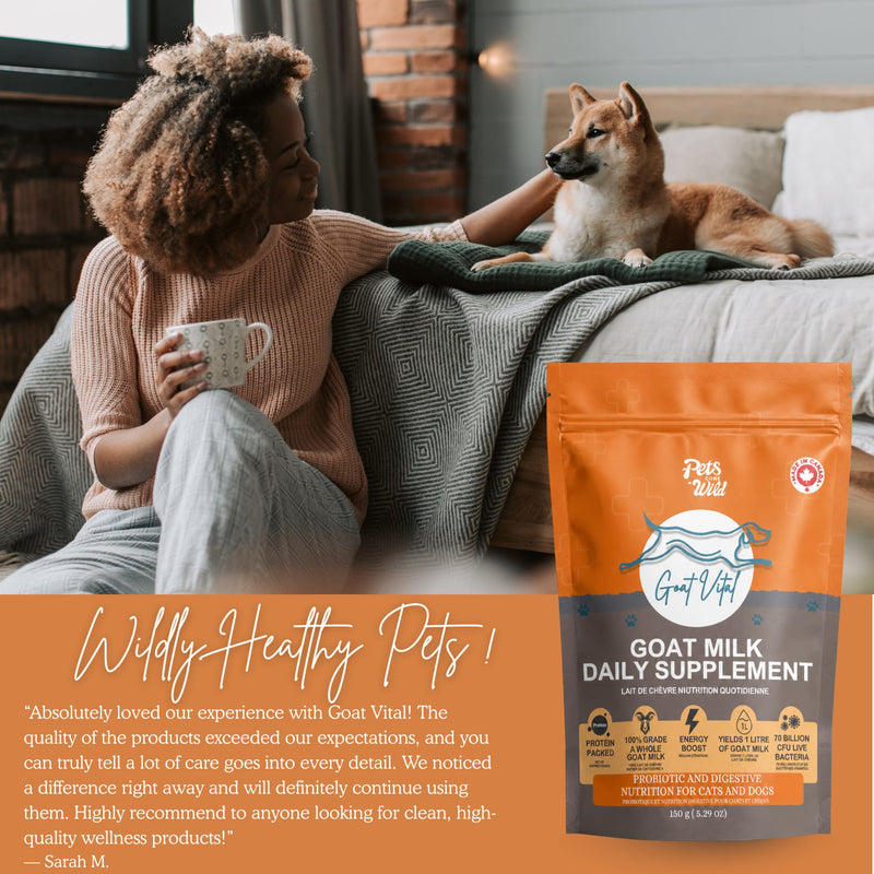 Pets Gone Wild Goat Milk Powder with 70 Billion Probiotics for Digestive & Immune Support | Use as Milk or Food Topper for Dogs & Cats of All Breeds, Sizes & Ages | Made in Canada | 150g (5.29 oz)