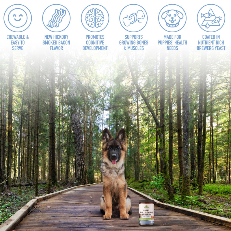 Strawfield Pets' Puppy Multivitamin + Probiotics for Dogs Puppy Vitamins with Joint Support Supplement for Dogs & Puppies Tasty Bacon Flavor 120 Soft Chews Hickory Bacon
