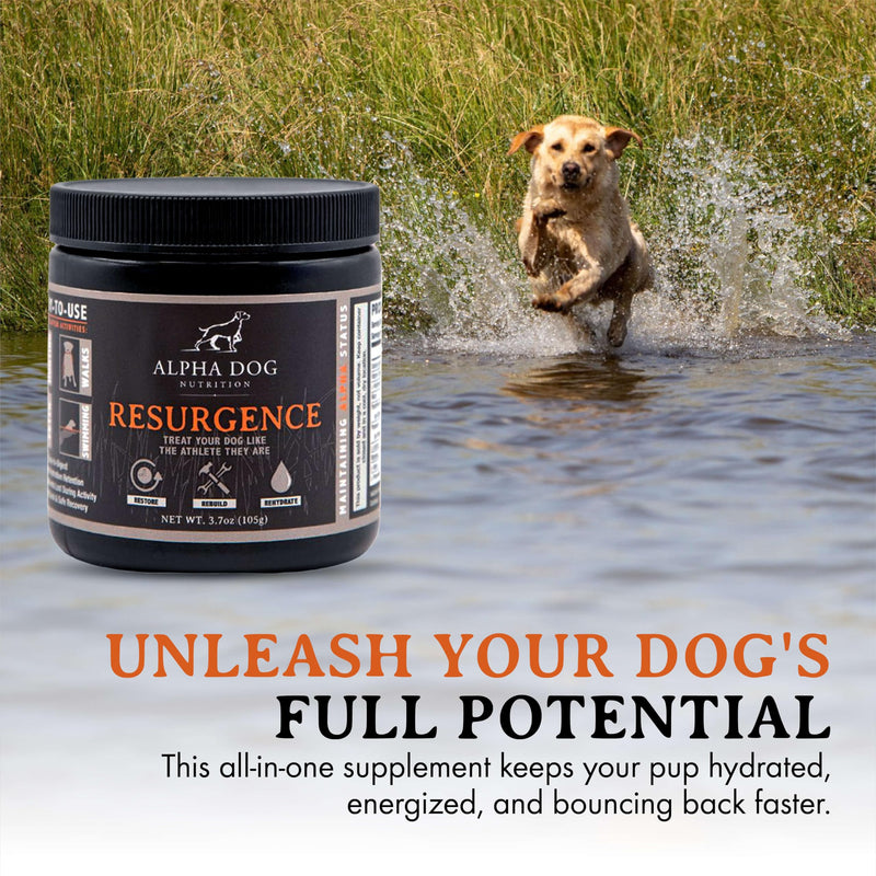 Resurgence Dog Electrolytes by Alpha Dog Nutrition | Promote Dog Hydration, Increase Stamina, and Boost Recovery | Electrolyte Water Additive or Food Topper to Prevent Dehydration with Beef Flavoring - PawsPlanet Australia