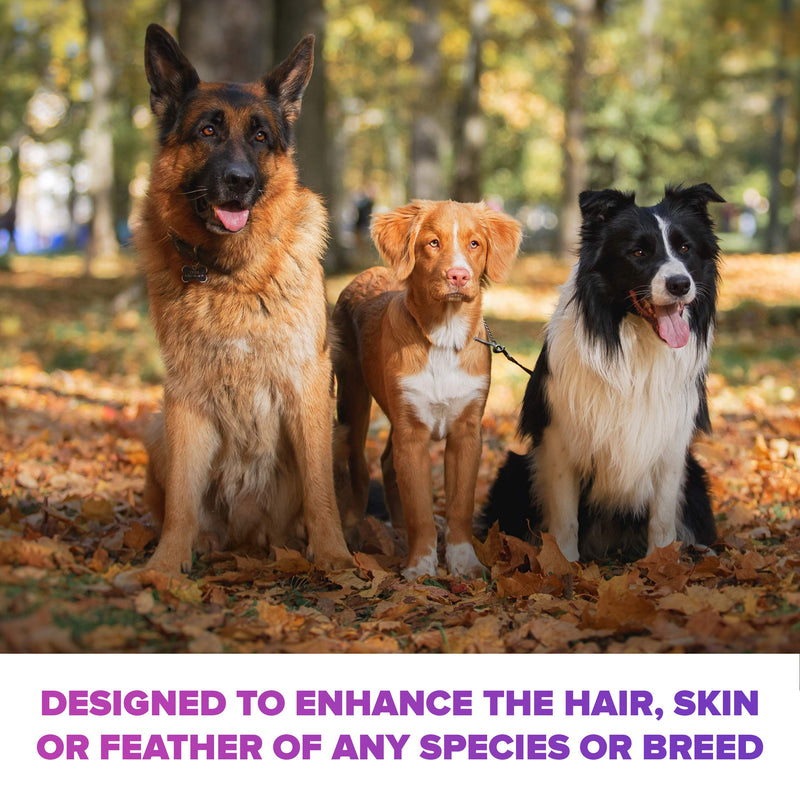 [Australia] - Panagenics | Pet Hydrating Spray - Safe for All Animals, Unscented, Contains Citrus and Aloe Active Ingredients - 16 Ounce 