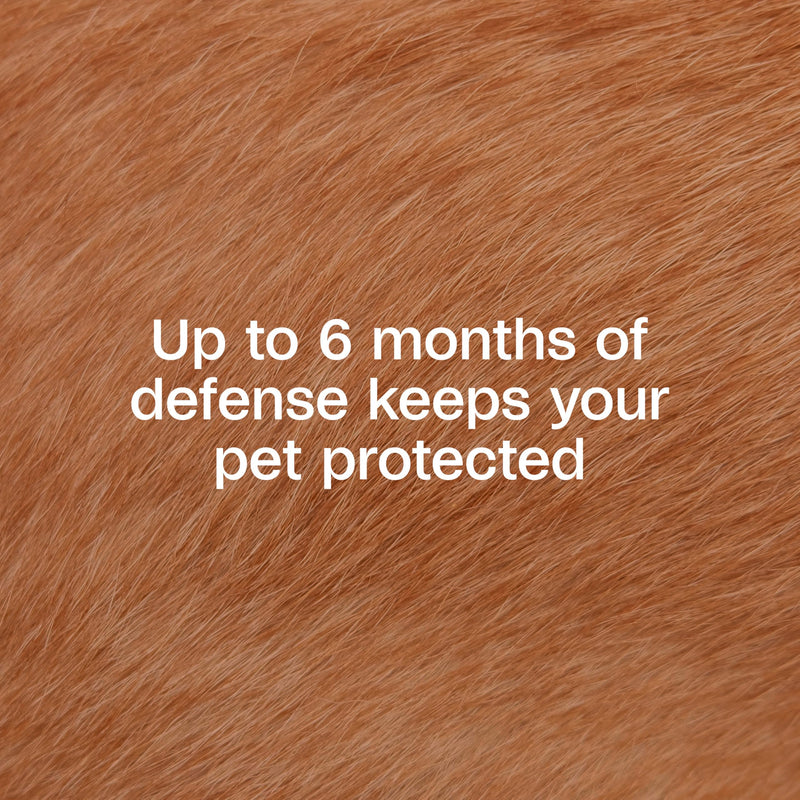 ADAMS Flea & Tick Collar Plus for Dogs & Puppies, 12 Months Protection Against Flea Infestations, Kills Fleas & Ticks, Repels Mosquitoes for Up to 6 Months (Excl. California), One Size Fits All, 1 ct 1 Pack