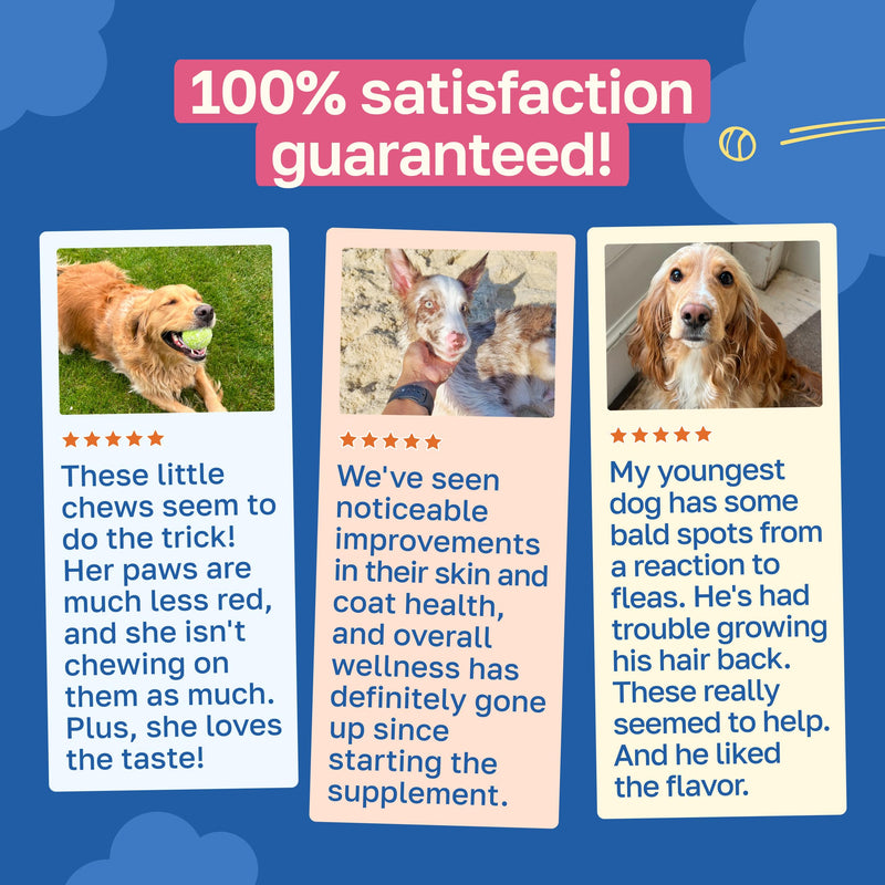 Happy Paws Probiotics for Dogs, Gut Health, Skin, Coat & Immune Support Supplement for All Breeds & Ages, Made with Coconut Oil & Vitamin E, Vegan Chicken Flavor, Organic, Non GMO, 100 Soft Chews 100 Count