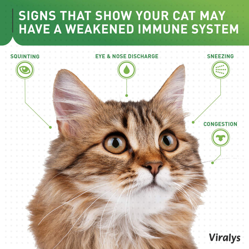 Vetoquinol Viralys L-Lysine Supplement for Cats - Cats & Kittens of All Ages - Immune Health - Sneezing, Runny Nose, Squinting, Watery Eyes - Flavored Lysine Powder 100 Grams - PawsPlanet Australia
